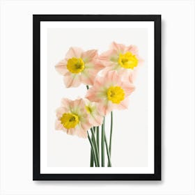 Bunch Of Daffodils Flowers Acrylic Painting In Pastel Colours 6 Art Print