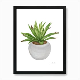 Aloe Plant.A fine artistic print that decorates the place. Art Print
