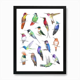 Hummingbirds Art Print