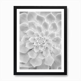 White Cactus Plant Heart Art Print