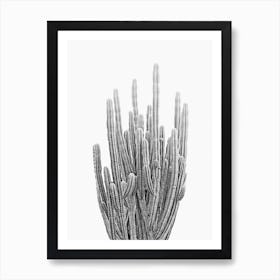 Wild Cactus Art Print