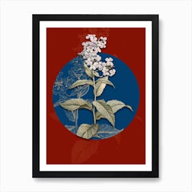 Vintage Botanical White Gillyflower Bloom on Circle Blue on Red n.0312 Art Print