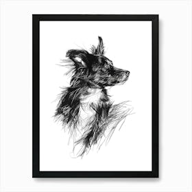 Miniature American Shepherd Dog Line Sketch 3 Art Print