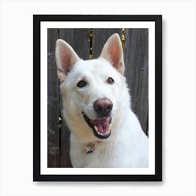 White German Shepherd Dog Art Print