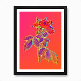 Neon Boursault Rose Botanical in Hot Pink and Electric Blue n.0366 Art Print
