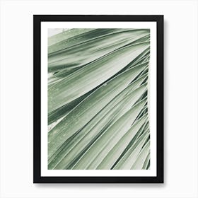 Palm Leaf Art Print