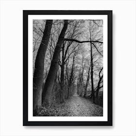 Idyllic forest path with deciduous trees in autumn time in black white Art Print