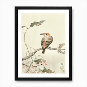 Crossbill On Tree Branch (1900 1910), Ohara Koson Art Print