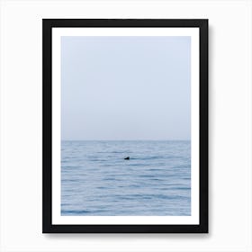 A pilot whale in the Atlantic Sea, Canary Islands Art Print