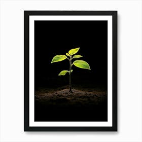 Small Green Plant On Black Background 25 Art Print