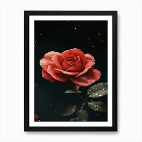 Red Rose 41 Art Print