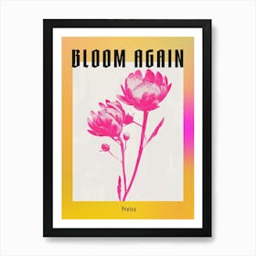 Hot Pink Protea 1 Poster Art Print