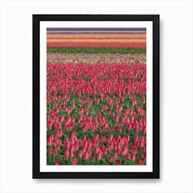 Tulip Field 01 Art Print