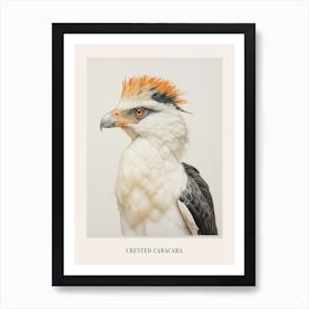 Vintage Bird Drawing Crested Caracara 1 Poster Art Print