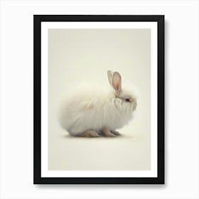 English Angora Nursery Illustration 1 Art Print