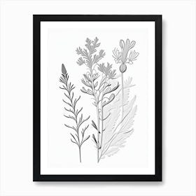 Astragalus Herb William Morris Inspired Line Drawing 1 Art Print