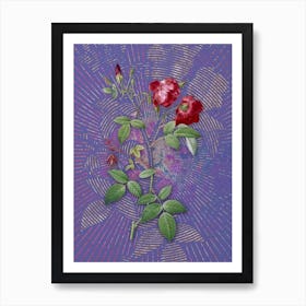 Vintage Velvet China Rose Botanical Illustration on Veri Peri Art Print