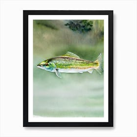 Tilefish Storybook Watercolour Art Print