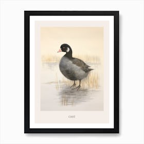 Vintage Bird Drawing Coot 3 Poster Art Print