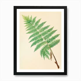 Vintage Illustration Japanese Tassel Fern 4 Art Print