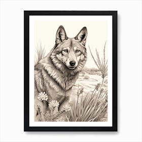 Gray Wolf Vintage Drawing 4 Art Print