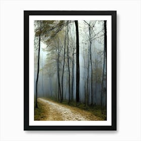 Road In The Woods Art Print