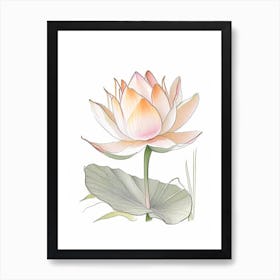 Lotus Flower In Garden Pencil Illustration 5 Art Print