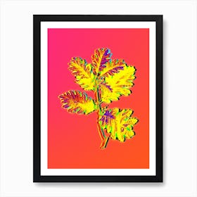 Neon Hungarian Oak Botanical in Hot Pink and Electric Blue n.0313 Art Print