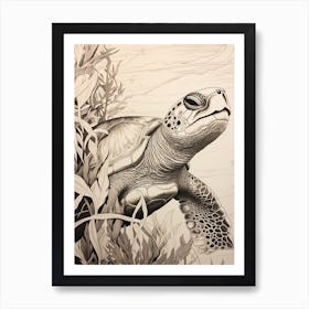 Sepia Illustration Sea Turtle Behind Seagrass Art Print
