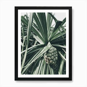 Palm Tree 8 Art Print