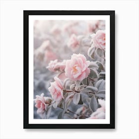 Frosty Botanical Camellia 4 Art Print