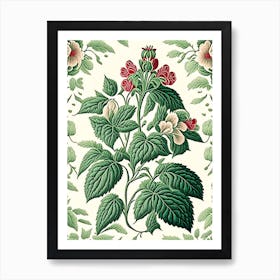 Peppermint 3 Floral Botanical Vintage Poster Flower Art Print