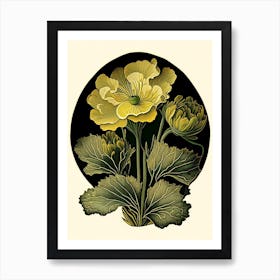 Marsh Marigold Wildflower Vintage Botanical Art Print