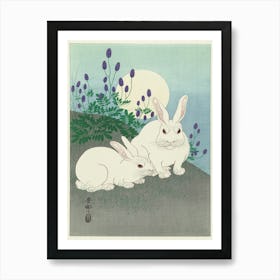 White Rabbits In The Moonlight Art Print