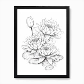 Line Art Inspired By Water Lilies 4 Art Print