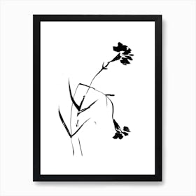 Black Carnation Flowers Art Print
