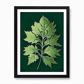 Lovage Leaf Vintage Botanical 2 Art Print