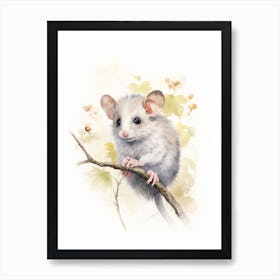 Light Watercolor Painting Of A Western Pygmy Possum 2 Art Print