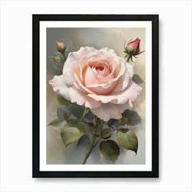 Englands Pink Rose Flower Art Print