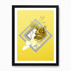 Botanical Blood Red Bengal Rose in Gray and Yellow Gradient n.132 Art Print