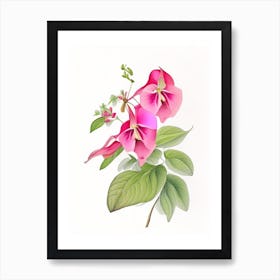 Impatiens Floral Quentin Blake Inspired Illustration 1 Flower Art Print