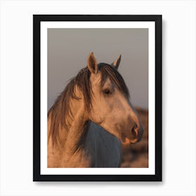 Sunset Horse Art Print