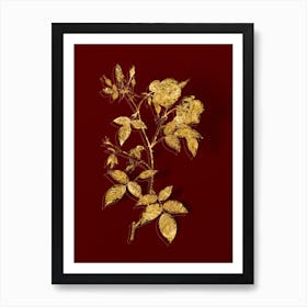 Vintage Velvet China Rose Botanical in Gold on Red n.0142 Art Print