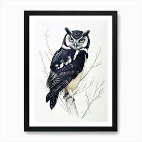 Spectacled Owl Drawing 4 Art Print