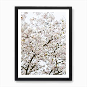 Blossom Tree Art Print