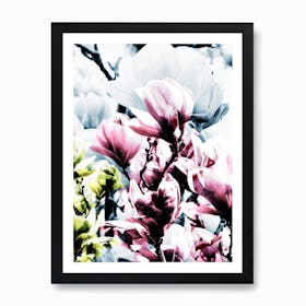 Magnolia I Art Print