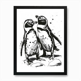 African Penguin Squabbling Over Territory 4 Art Print