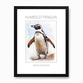 Humboldt Penguin Bartolom Island Watercolour Painting 2 Poster Art Print