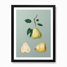 Vintage Pear Botanical Art on Mint Green n.0087 Art Print