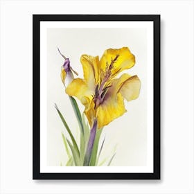 Yellow Flag Iris Wildflower Watercolour 2 Art Print